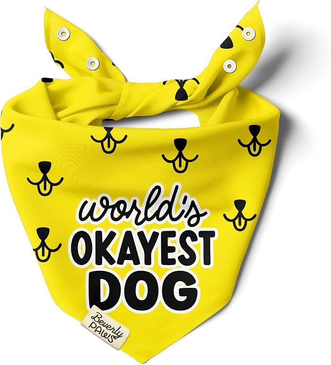 Funny Snap-On Dog Bandana for Small Medium Large Pets, Dogs Cats Adjustable Handkerchief Scarf for Girl & Boy, Cute Puppy Apparel & Accessories (World's Okayest Dog, X-Large)