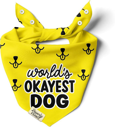Funny Snap-On Dog Bandana for Small Medium Large Pets, Dogs Cats Adjustable Handkerchief Scarf for Girl & Boy, Cute Puppy Apparel & Accessories (World's Okayest Dog, Large)