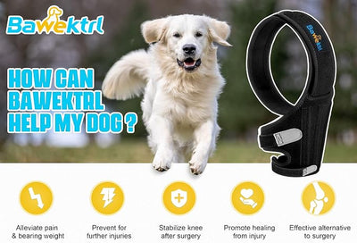Dog Knee Brace for Torn ACL Back Legs,Cruciate Care Knee Brace Support for Limping or Fatigue,Arthritis,Post-Operative Reduces Pain and Inflammation Easy to Put On and Off Dog Braces for Back Legs