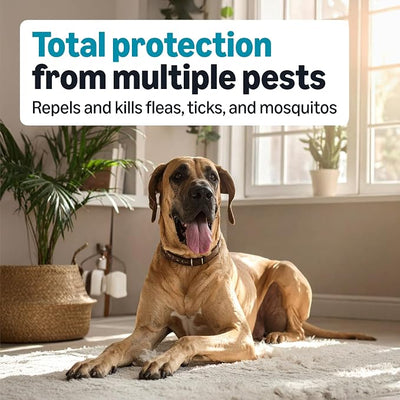 Amazon Basics Preventative Flea, Tick & Mosquito Topical Treatment for X-Large Dogs (Over 55 pounds), Kills Fleas, Long-Lasting, 6 Count, Packaging May Vary
