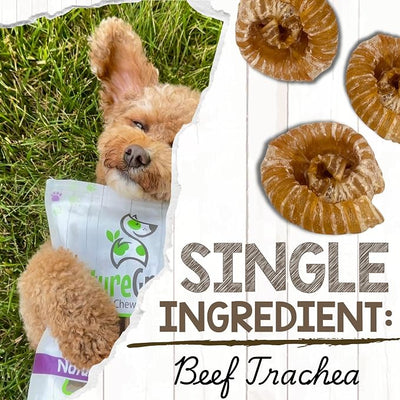 Nature Gnaws Beef Trachea Balls (5 Count) - Naturally Crunchy Dog Chews | Single Ingredient, Long Lasting,Rawhide Free