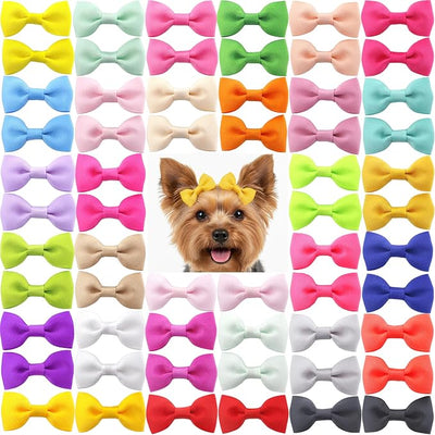 QingHan Dog Hair Bows 2 inches Small Puppy Bowknot Clips for Pet Grooming Accessories Doggy 60Pcs (30 Pairs)