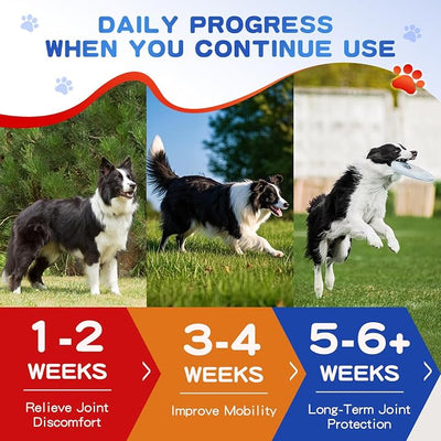 Hip and Joint Supplement for Dogs, Glucosamine for Dogs with MSM, Chondroitin, Dog Joints Supplement Supports Mobility & Joint Pain Relief, Liver Flavored Soft Chews Fit All Breeds & Sizes - 150Ct