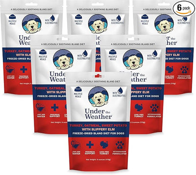Under the Weather Bland Diet for Dogs | Easy to Digest Stomach Support for Sick Dogs | Contains Electrolytes, All Natural | 6 Pack - Turkey, Oatmeal, Sweet Potato & Slippery Elm - 6oz