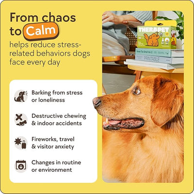 TheraPetMD 60-Day Dog Calming Diffuser Kit - Dog Pheromone Diffuser for Stress, Destructive Behavior, Pee Accidents, Separation Anxiety, Barking, Aggression & Chewing - 60-Day Refills Included