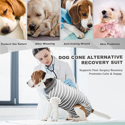 Recovery Suit for Dogs, Soft Dog Surgery Suit for Female Spay Male Neuter | Dog Cone Alternative Surgical Recovery Shirt for Abdominal Wounds, Anti-Licking Pet Clothes for Dogs Cats, Grey, XX-Large