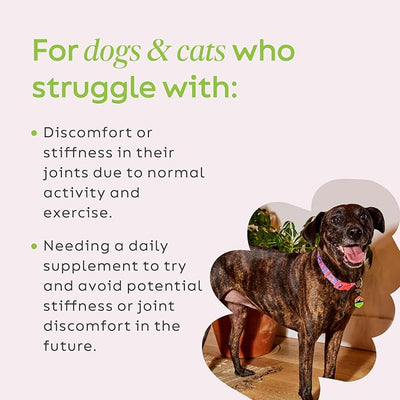 Super Snouts Joint Power – 5.29oz Powder – Joint Supplement for Dogs and Cats with 100% Green Lipped Mussel Helps Ease Discomfort & Stiffness– Made in The USA