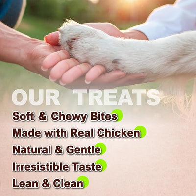A Freschi srl Soft Chicken Dog Treats, All Natural, High-Protein, Healthy & Easily Digestible, Grain-Free Puppy Chews, Human Grade Training & Rewards Dog Snacks, Jerky Cuts, 16 oz Pack