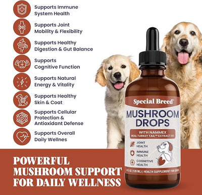 Organic Turkey Tail Mushroom for Dogs - Liquid Mushroom Supplement with Nammex Real Turkey Tail 8:1 - Immune Gut Joint Cognitive Support - Reishi Lion’s Mane Cordyceps Chaga - 120 Servings