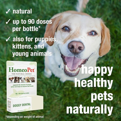 HomeoPet Doggy Dental Safe Gentle and Natural Tooth and Dental Care for Dogs 15 Milliliters