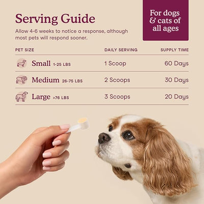 Fera Pets Bladder Support - Cranberry Supplement for Dogs & Cats - 60 Scoops