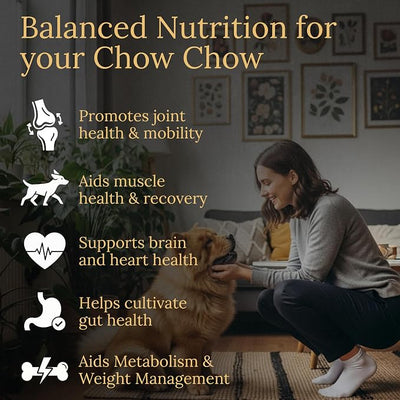 Chow Chow Multivitamins, 90 Count, Made in the USA with Real Bacon.