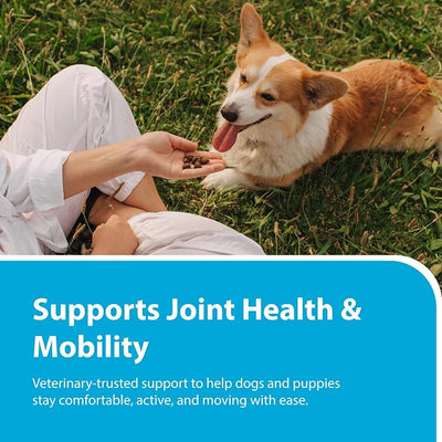 PRN Pharmacal Duralactin Canine Soft Chews - Joint Health Supplement for Dogs & Puppies - Supplement with Dried Milk Protein - 60 Count