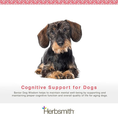 Herbsmith Senior Dog Wisdom – Dog Dementia Supplement – DHA for Senior Dog Brain Health - Senior Supplement for Dogs- 60ct Small Chews