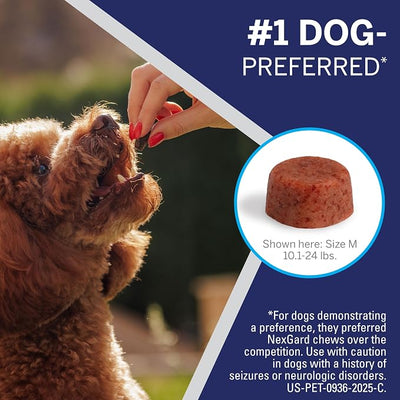 NexGard® (afoxolaner) Flea and Tick Protection for Dogs Oral Soft Beef Flavored Chewables,10.1 to 24 lbs. (Blue Box) 6 Chews (6 Month Supply)