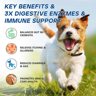 Probiotics for Dogs Dog Probiotic Chews for Yeast Itch Relief Ears Skin Coat, Gut Digestive Health & Immune Support with 11Billion CFU Probiotics, 6 Enzymes, 4 Prebiotics, Greek Yogurts, Pumpkin
