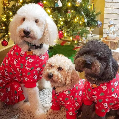 KYEESE Christmas Dog Pajamas Santa Claus Turtleneck Dog Pjs for Small Dogs Holiday Pet Onesie Soft Velvet 4 Legs Cozy Pet Sleepwear Warm Doggie Christmas Outfit, Medium