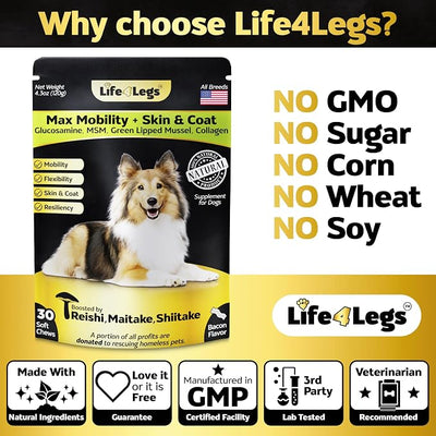 Soft Chews Hip and Joint Supplement for Dogs - Dog Joint Pain Relief Treats - Glucosamine, Chondroitin, Turmeric - Mobility Supplement (Bacon - 30 Soft Chews)