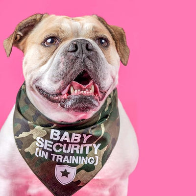 Baby Security in Training Dog Bandana | 100% Cotton Adjustable Triangle | Made in USA | Pregnancy Announcement Photoshoot Prop | Gender Reveal | Assorted Colors & Sizes (Camo, One Size) GB