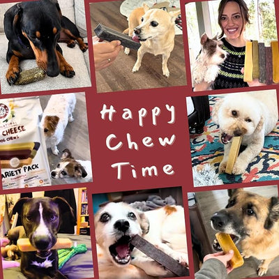 Majestic Pet Himalayan All-Natural Cheese Dog Chews - Long Lasting Dental Chew for Dogs - Healthy Pet Treats with Beneficial Ingredients (Urinary Tract Wellness, Large, 5 Pack)
