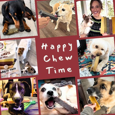 Majestic Pet Himalayan All-Natural Cheese Dog Chews - Long Lasting Dental Chew for Dogs - Healthy Pet Treats with Beneficial Ingredients (Dental & Bone Support, Regular, 5 Pack)