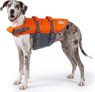 Outward Hound Granby Splash Orange Dog Life Jacket, XL