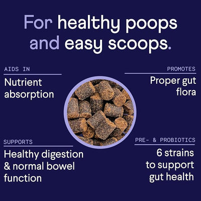 Finn Digestive Probiotics for Dogs | Pumpkin & Prebiotics | Peanut Butter | 6 Live Probiotic Strains, 3 Billion CFU | NASC Certified | Vet Recommended | Supports Regularity & Immune Health