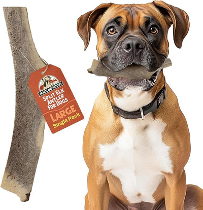 Heartland Elk Antlers for Dogs - Daily Dental Care Chews for Aggressive Chewers to Reduce Plaque & Prevent Destructive Behavior (Splinter Free, Split, 7", Large, 1-Pack, Grade A, USA Made)