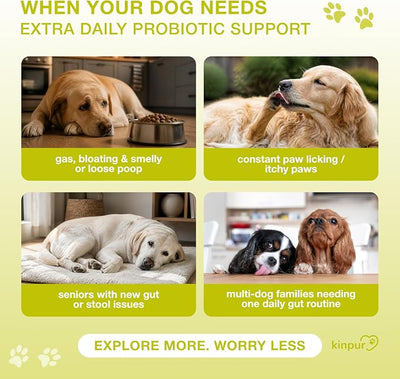 Dog Probiotics Chews – 4 Billion CFU, 6 Strains + Colostrum & Digestive Enzymes – Digestive Health, Gut Health for Dogs & Stool Quality – Duck Flavor – All Breeds & Seniors – 120 Chews