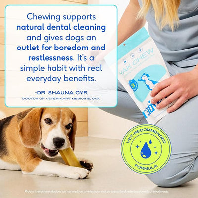 Native Pet Yak Cheese Himalayan Dog Chews - Long Lasting Dental Sticks for Small Breeds– 100% All Natural Himalayan Yak Chews for Small Dogs – Cheese Bone for Aggressive Chewers - 15 Per Pack