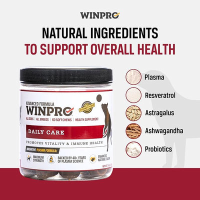 WINPRO Pet Daily Care Chews for Dogs, 60 Soft Chews, Plasma Powered, Grain Free Supplement for Dogs with Probiotics to Support A Healthy Immune System
