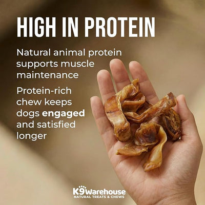 K9warehouse Pig Ears for Dogs - Natural Bulk - 100% Pork Pig Ear Strips for Dogs - Alternative to Rawhide Chews - Thick Cut Pig Ears for Dog Treats for All Breeds Packed in USA - 16oz