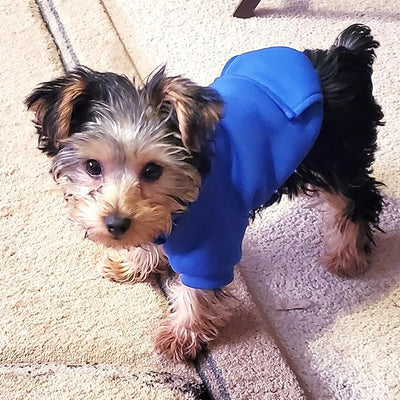 Jecikelon Soft Dog Hoodies for Small Dogs, Fleece Puppy Sweatshirt with Pockets, Warm Winter Cold Weather Coats for Pet Cat, Cute Clothes Puppy Costume (Dark Blue, Small)