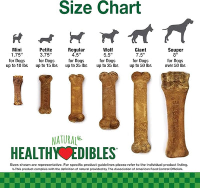 Nylabone Healthy Edibles Natural Dog Chews Long Lasting Bacon Flavor Treats for Dogs, Small/Regular (1 Count) (Pack of 2)