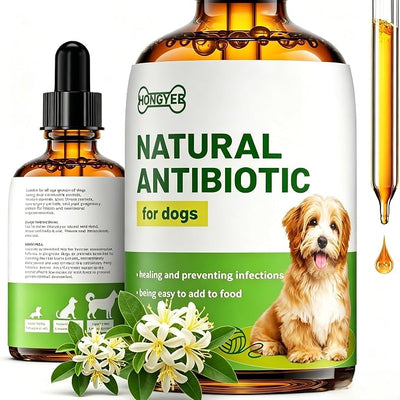 Dog Antibiotics for Infections, Cough, & Itching | Natural Antibiotics for Dogs for All Ages to Promote Wound Healing | Dog UTI Treatment and Tooth Infection Treatment | Chicken Flavor | 2 Oz
