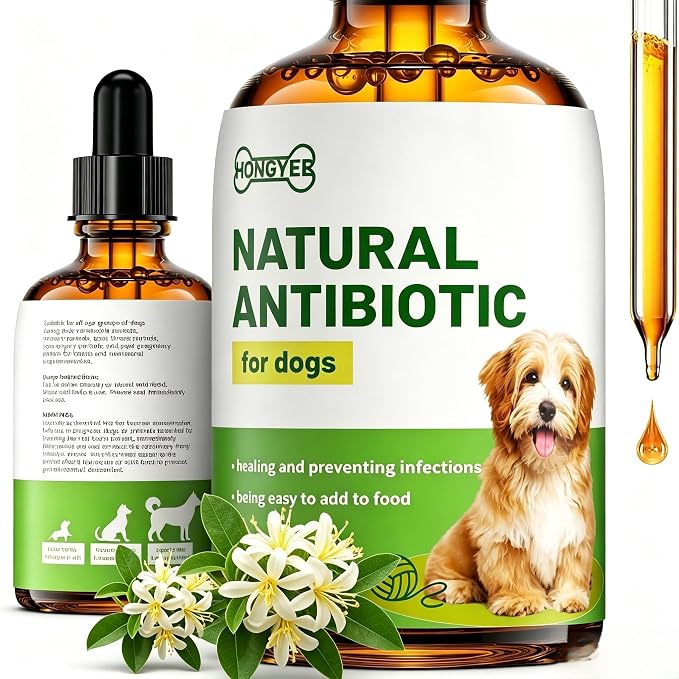 Dog Antibiotics for Infections, Cough, & Itching | Natural Antibiotics for Dogs for All Ages to Promote Wound Healing | Dog UTI Treatment and Tooth Infection Treatment | Chicken Flavor | 2 Oz