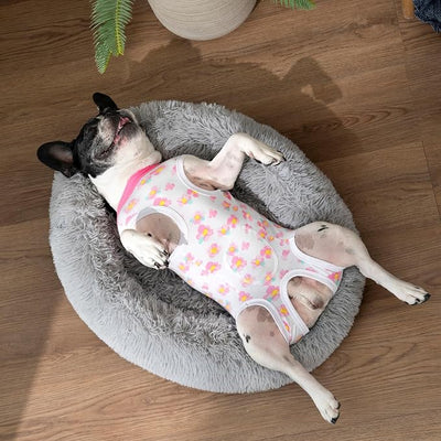 2 Packs Pet Dog Recovery Onesie Suit for Dogs Cats After Surgery,Dog Abdominal Wounds Bandages Cone E-Collar Alternative. (White Flower, S)