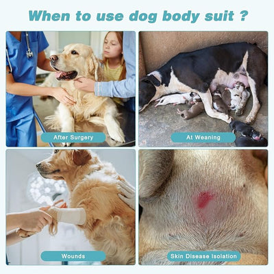 2 Packs Breathable Cotton Dog Recovery Suit for After Neuter Spay Abdominal Wounds Protector, Professional Anti-Licking Onesies for Male Female Pets Surgery Bandages, M Textured Bule Purple