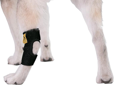 Agon® Dog Leg Braces For Back Leg wrap hock compression protects wounds and helps heal hind legs rear ankle joint, preventing injuries, sprains providing stability for dogs, canine arthritis (X-Small)