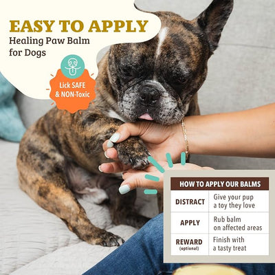 Natural Dog Company Paw Soother Dog Paw Balm – Moisturizes Dry Cracked Paws After Walks, Hot Pavement, Beach Sand, Hiking & Outdoor Play with Coconut Oil & Calendula, Daily Paw Care, 1 oz Tin