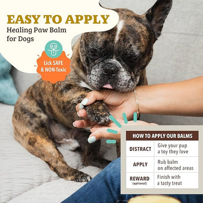 Natural Dog Company Paw Soother Balm & Wax - Dog Paw Balm & Moisturizer for Dry, Cracked Paw Pads, Helps Moisturize & Condition Worn Paws, Coconut Oil & Calendula, Daily Paws Care, 2 oz Tin