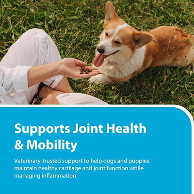 PRN Pharmacal Duralactin Canine Joint Plus Soft Chews - Joint Health Supplement for Dogs & Puppies - Pet Mobility Support - 90 Soft Chews