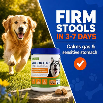 Probiotics for Dogs – Probiotic Chews with 4.8 Billion CFU, Digestive Enzymes & Pumpkin | Dog Gut Health Supplement for Diarrhea, Gas & Sensitive Stomach | Soft Chews for Senior Dogs