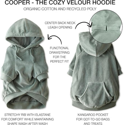 Pet Passion Cooper II Organic Cotton Velour Dog Hoodie Pet Coat for Small, Medium and Large Dogs, Sage, Small (10-25 lbs)