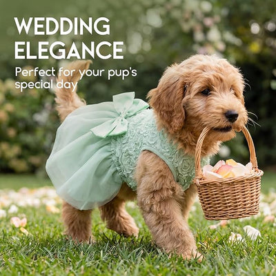 ASENKU Dog Dress Pet Wedding Dress Princess Lace Puppy Birthday Party Outfit Formal Apparel Girl for Small Medium Dogs Cats (Medium, Green)