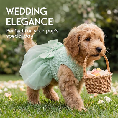 ASENKU Small Dog Dress Pet Wedding Dress Princess Lace Puppy Birthday Party Outfit Formal Apparel Girl for Only Small Medium Dogs Cats (XL, Green)