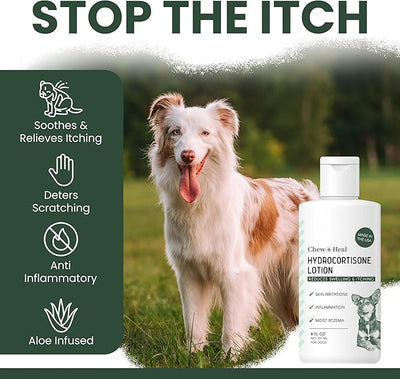 Chew + Heal Labs Hydrocortisone Lotion for Dogs - 4 oz Anti Itch Cream for Irritated Skin, Flea Bites, Itching, and More - Made in the USA