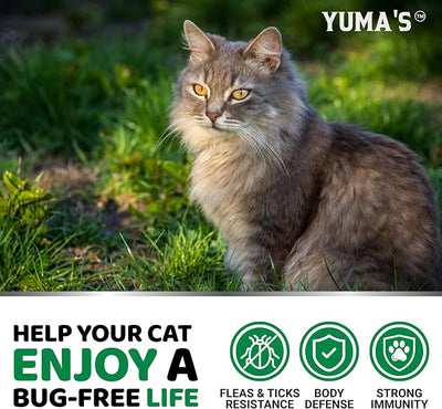 Flea Treatment for Cats - Flea and Tick Prevention for Cats - 160 Soft Treats - Natural Oral Supplement Pills for Kittens - All Breeds & Ages - Made in USA