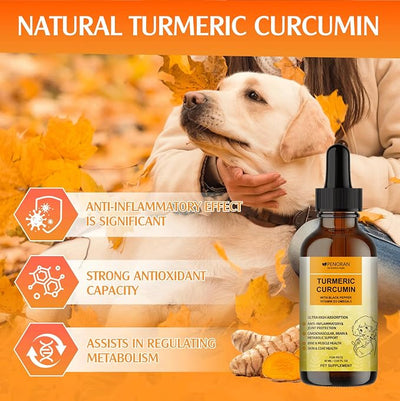 Turmeric Curcumin Drops for Dog & Senior Dogs: Anti-inflammatory Pain Relief, Eliminates Joint Pain, Improve Joint Mobility,Brain, Liver, Bone, Muscle, Skin&Coat - Liquid Absorb Better