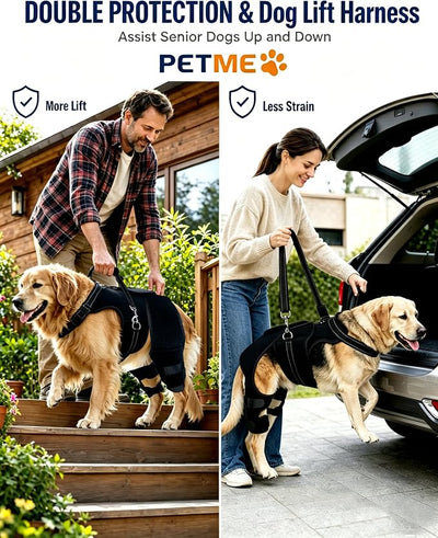 2-in-1 Dog Knee Brace and Lift Harness, Adjustable Back Leg Support with Stabilizers for ACL Recovery & Joint Care, Dog Sling for Hind Legs, Mobility Aid for Elderly Dogs with Luxating Patella (M)